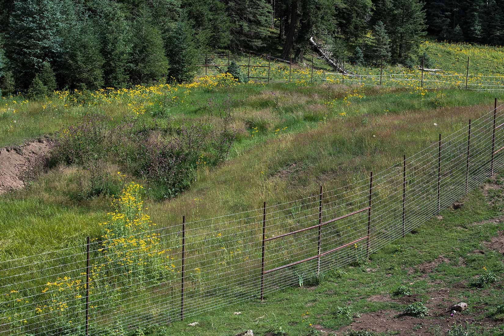 05465-NMMJM-CH-Wills-Canyon-Mauldin-Springs-Lincoln-NF-20190803_DSC9454-LOWER-EXCLOSURE-ELK-FENCING-new.jpg