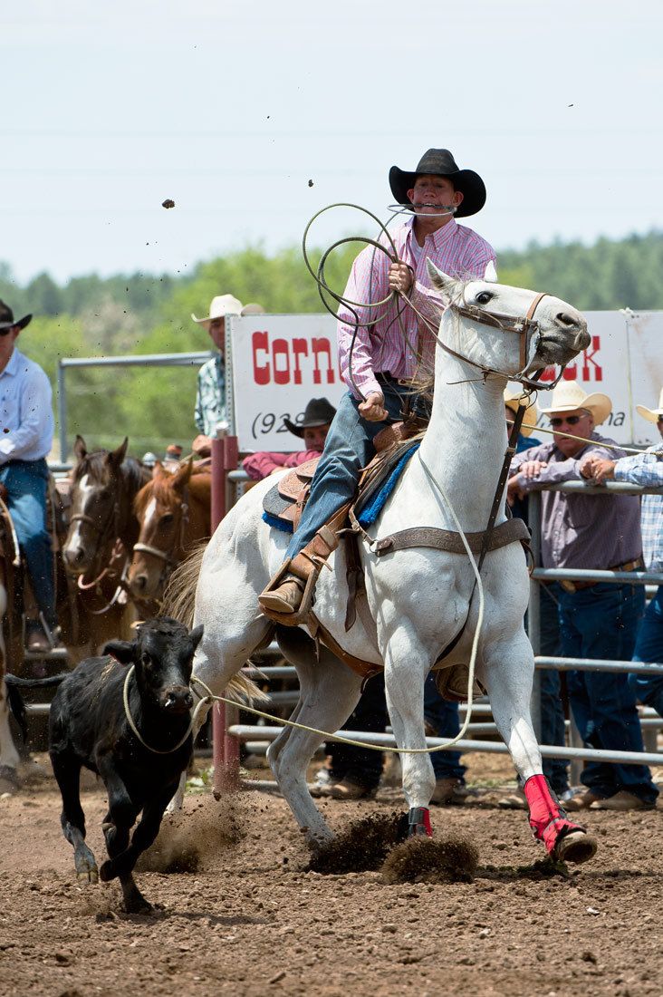 01594 Cowboy Calf Roper Securing Rope