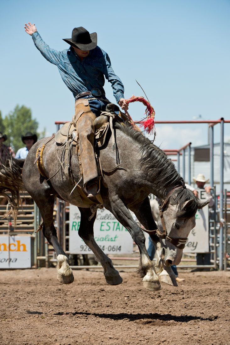 01617 Bronc Rider with Arm Outstretched on Airborne Horse