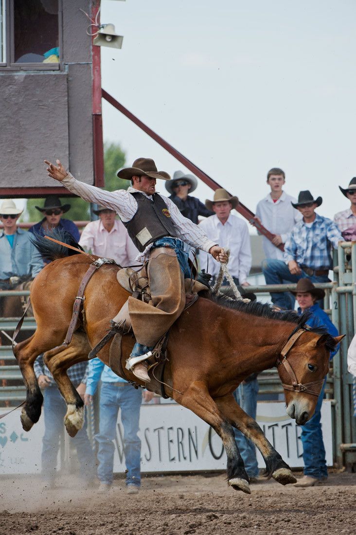 01588 Bronc Rider Olan Borg Arm Outstretched on Airborne Horse with Rear Legs Up