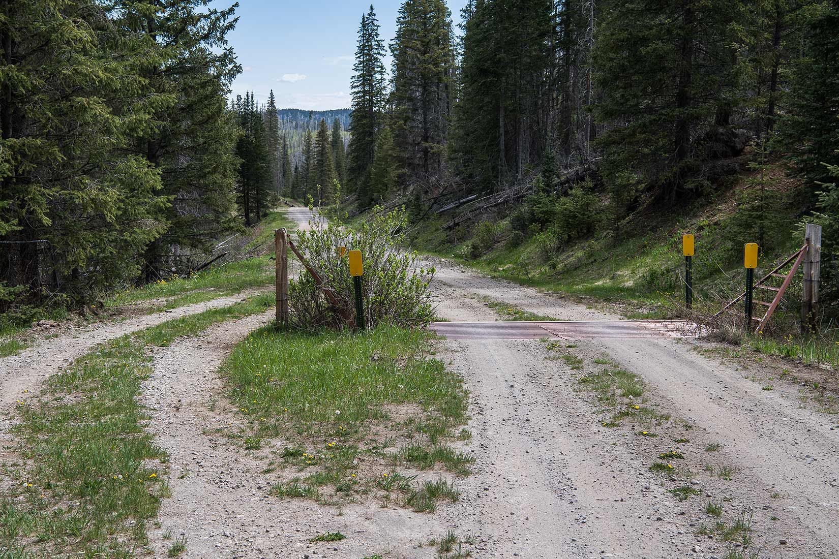 05317-Open-Fencing-just-above-Corduroy-Creek-Critical-Habitat-Apache-National-Forest-20190605_DSC6420-new.jpg