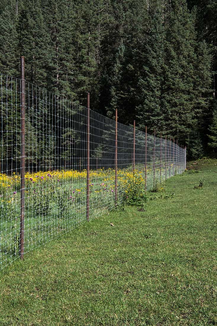 05474-NMMJM-CH-Wills-Canyon-Mauldin-Springs-Lincoln-NF-20190803_DSC9611-UPPER-EXCLOSURE-ELK-FENCING-FENCE-LINE-new.jpg