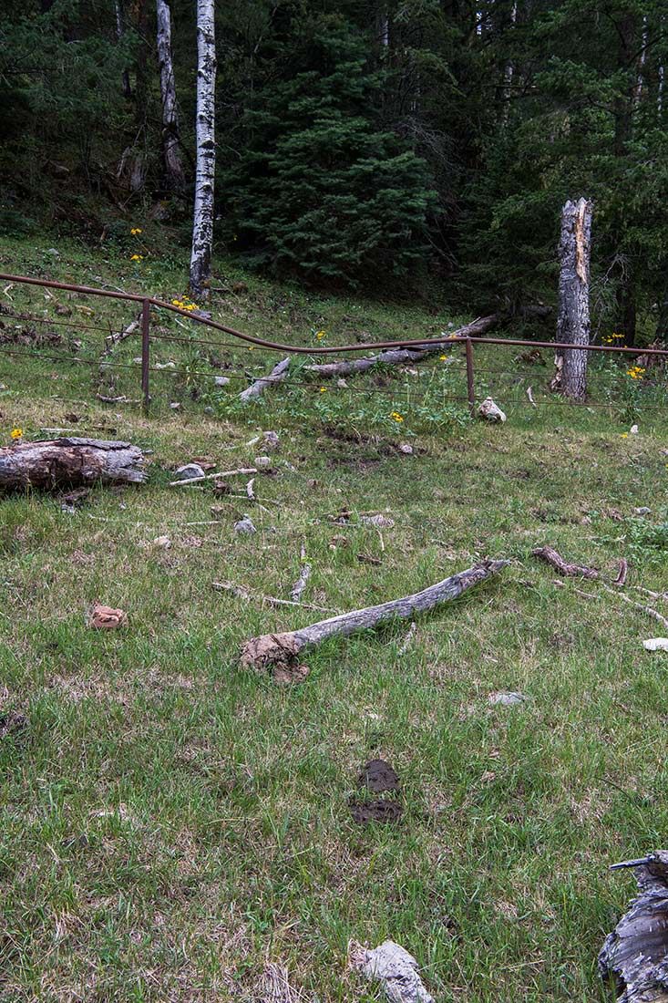 05412-NMMJM-CH-Pipe-Fence-Exclosure-Agua-Chiquita-Creek-Lincoln-NF-20190802-GRAZED-INSIDE_PATH-TO-BREECH_DSC8623-new.jpg