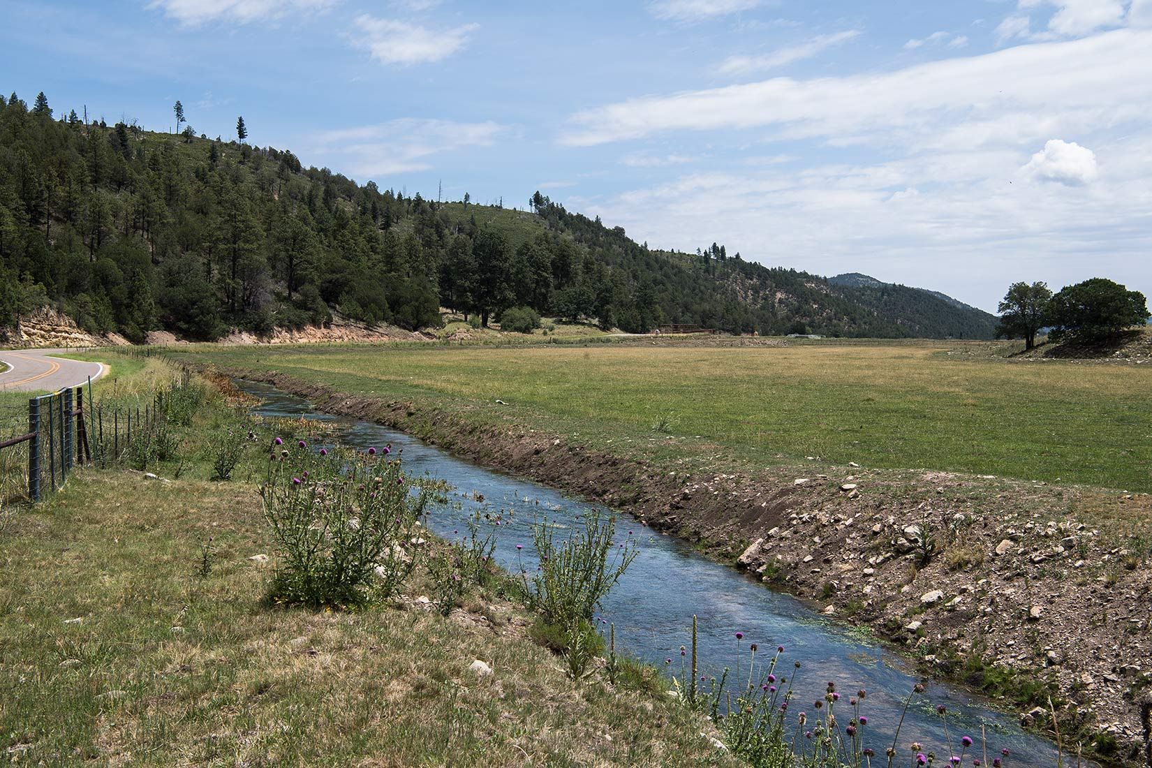 05447-NMMJM-CH-Middle-Rio-Penasco-Lincoln-NF-20190803_DSC9159-DENUDED-STREAM-ON-PRIVATE-LAND-new.jpg