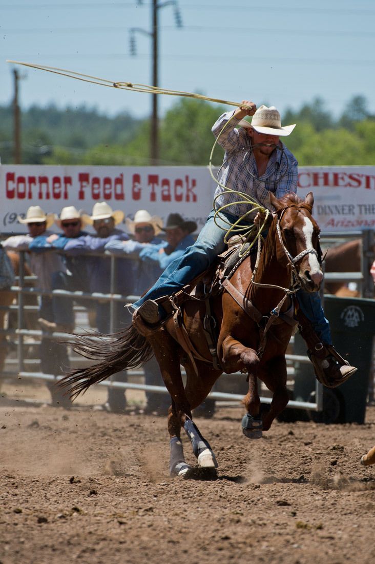 01577 Calf Roper Clancy Wilkerson Full Gallop Chasing Calf