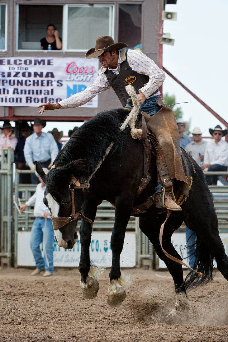 01585 Bronc Rider Olan Borg on Airborne Horse