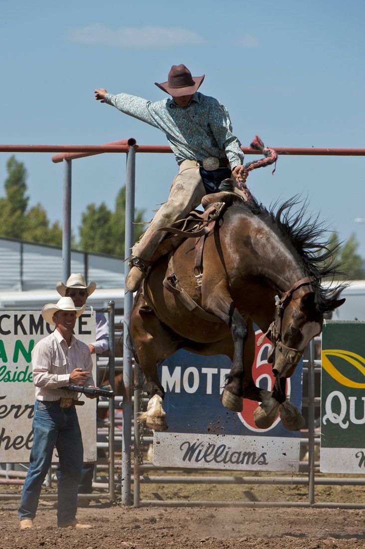 01590 Bronc Rider Ryan Manifee Arm Outstretched on Airborne Horse