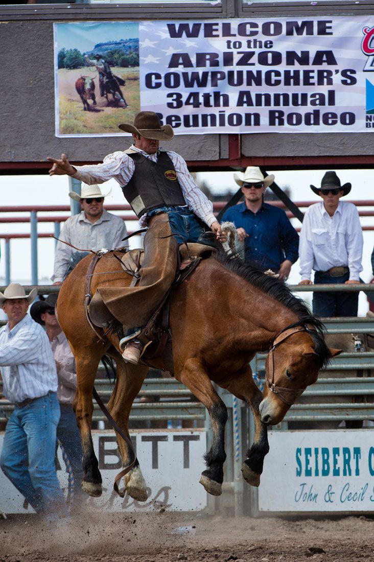01583 Bronc Rider Olan Borg on Airborne Horse