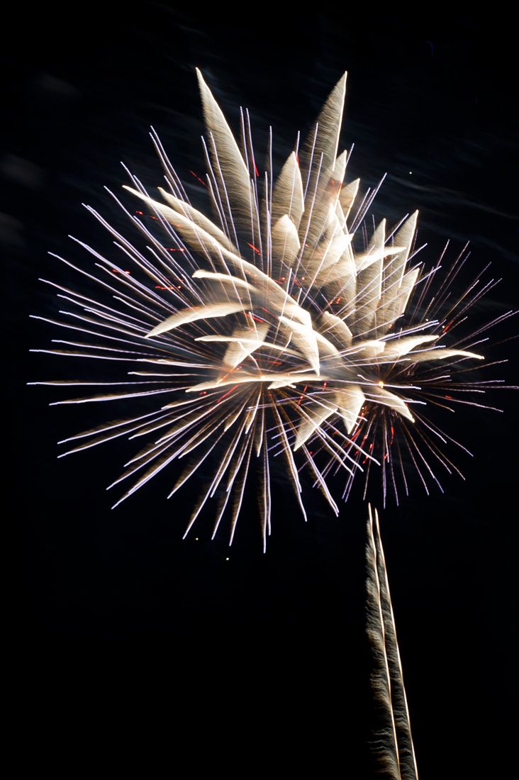 01641 FIREWORKS