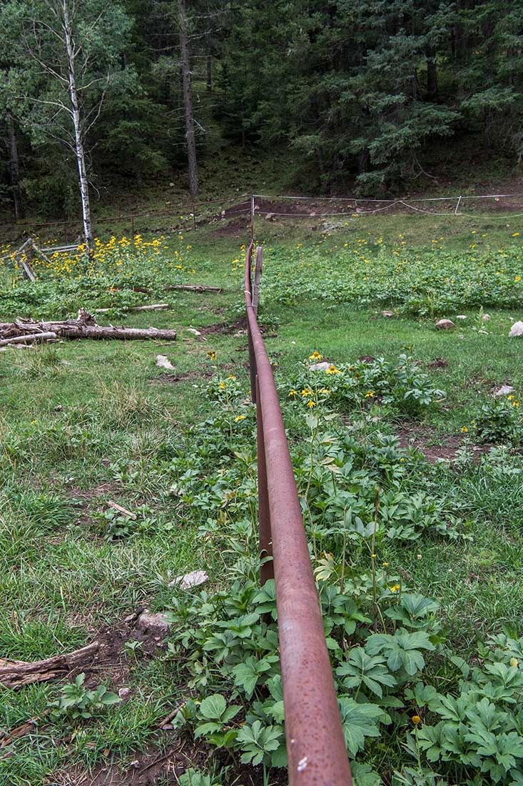 05410-NMMJM-CH-Barrel-Springs-Pipe-Fence-Exclosure-Agua-Chiquita-Creek-Lincoln-NF-20190802-NO-EFFECT-FENCE-LINE_DSC8590-new.jpg