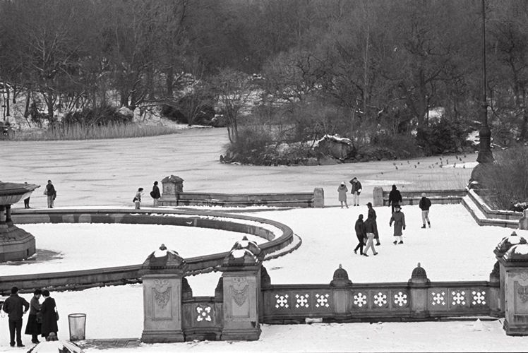 Cental Park, NYC    1993