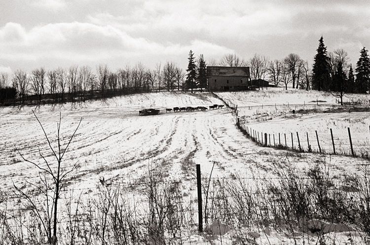 Western NY State   1988