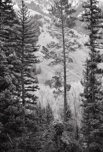 Tetons, Wyoming   2001