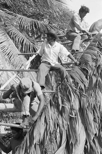 Rama Cay, Nicaragua, 1988