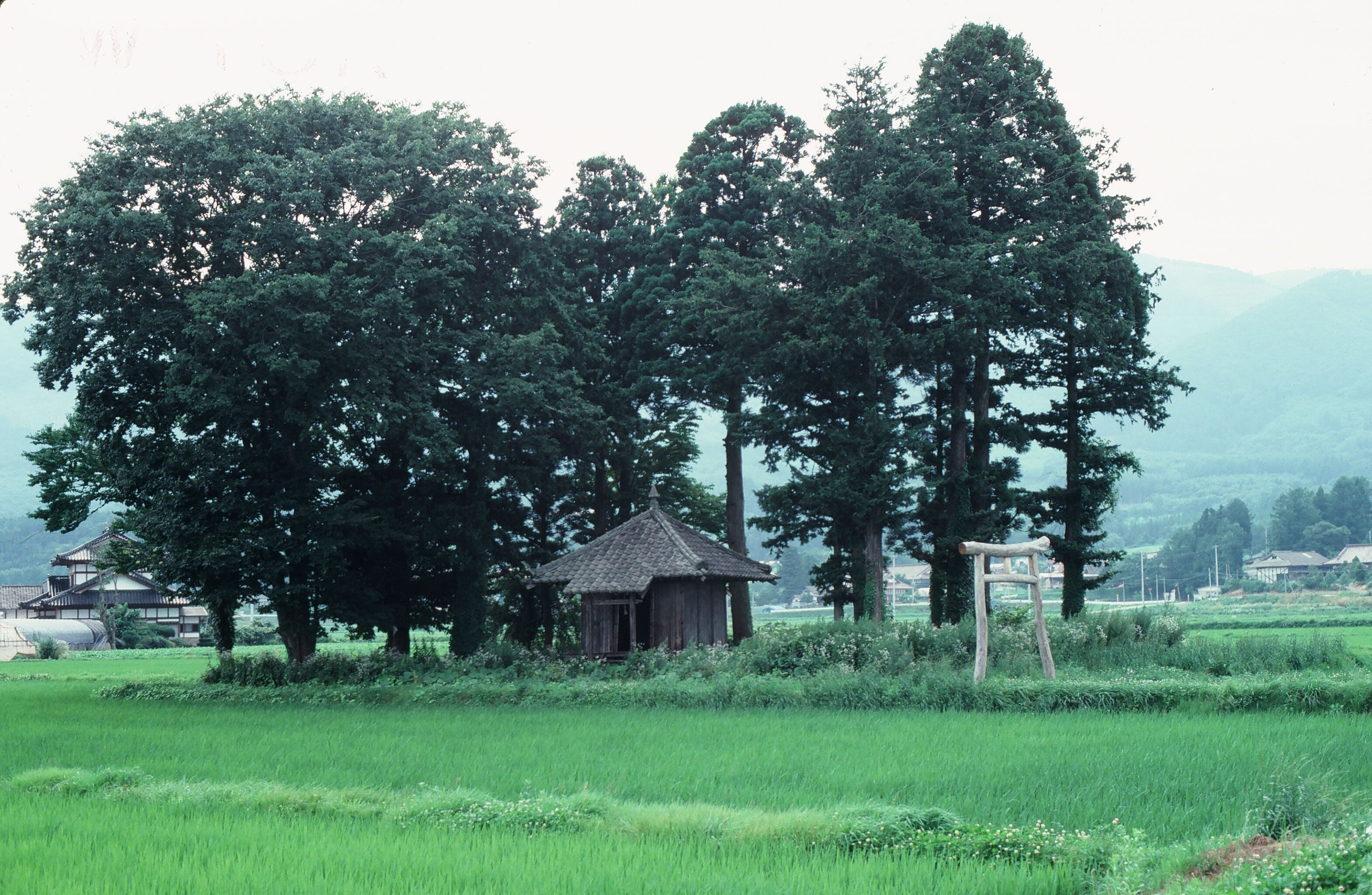 10070036.JPG