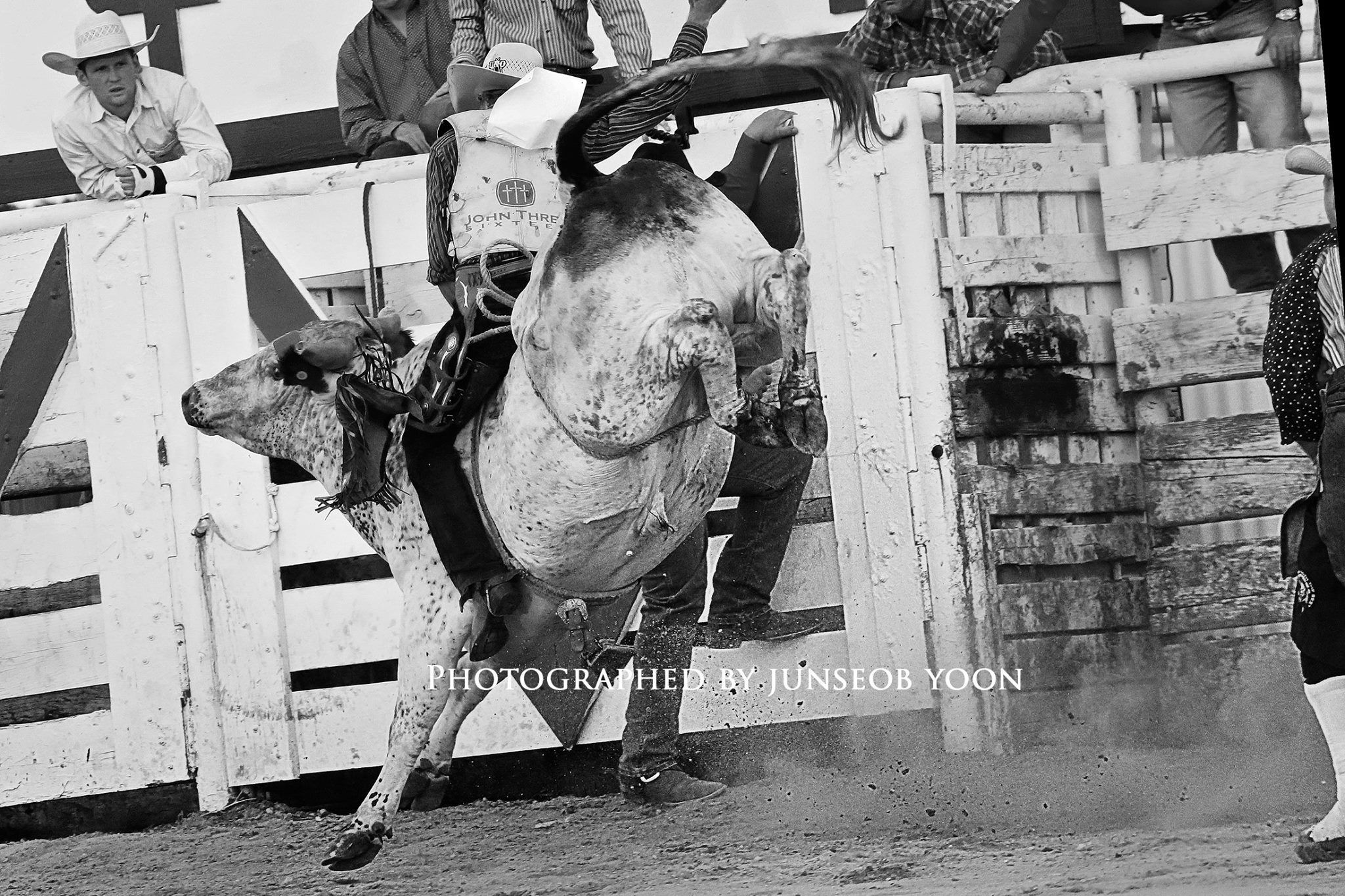 1r11223663_990675600964653_6795359867029713011_o