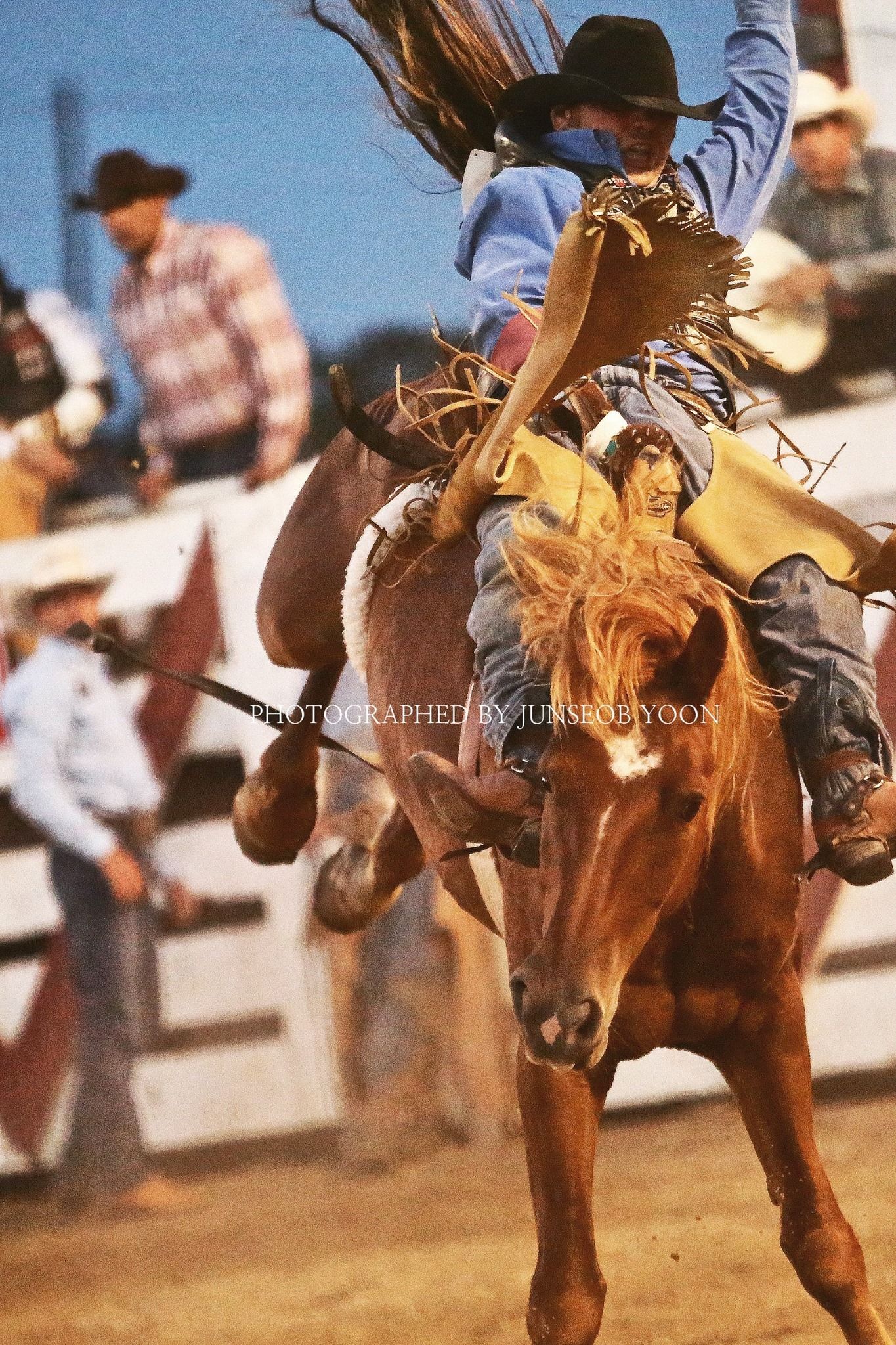 1r11807759_990676084297938_6850345267777202764_o