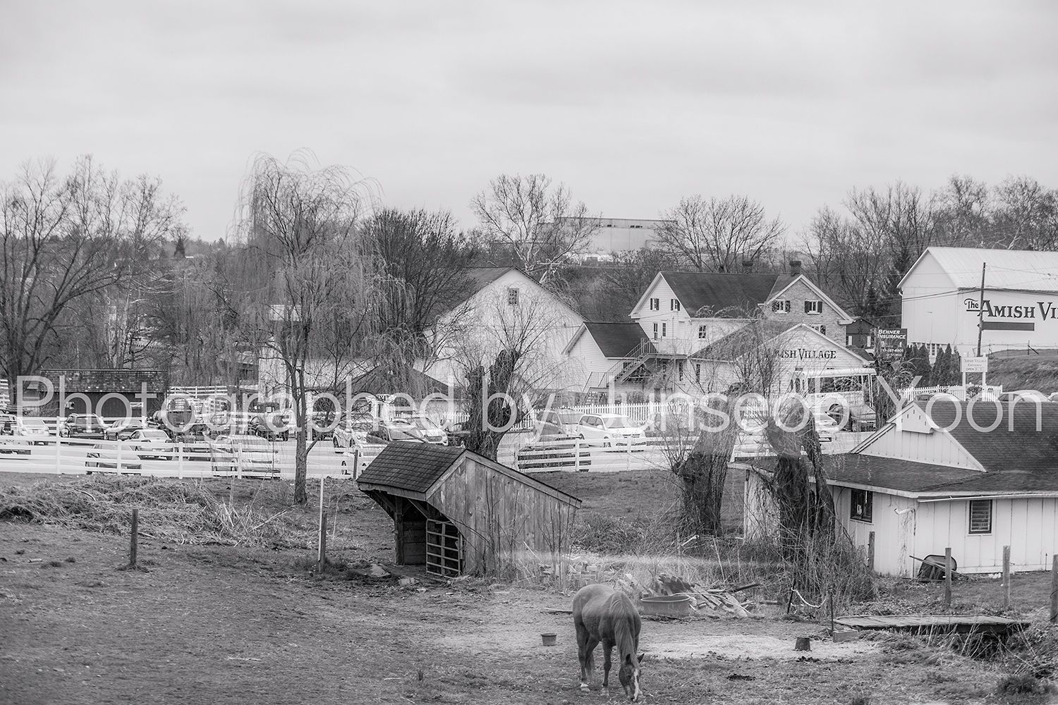 1du5u9313_a_bw_st_sss