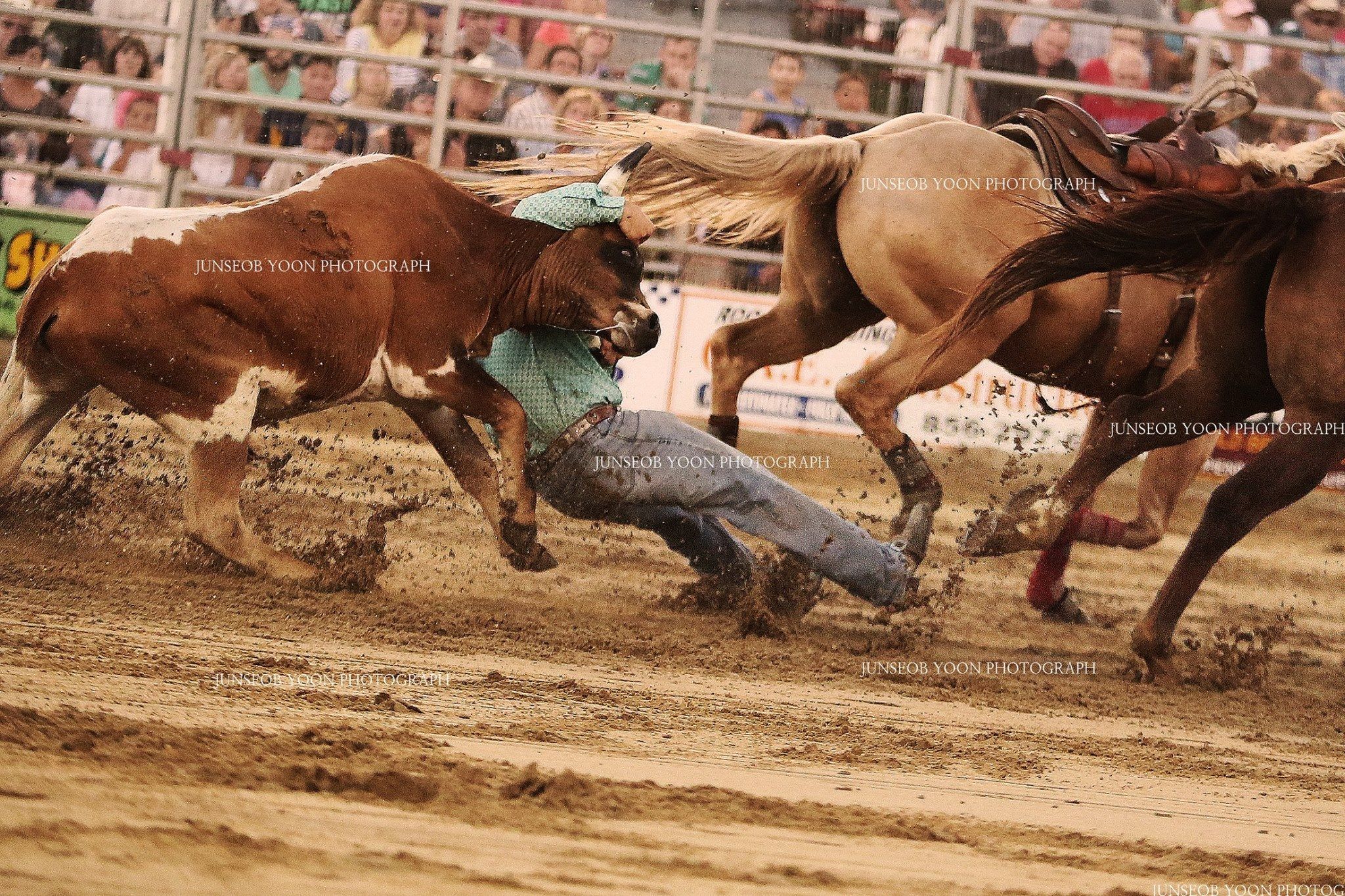 1r11875005_990675957631284_1011497092637002910_o