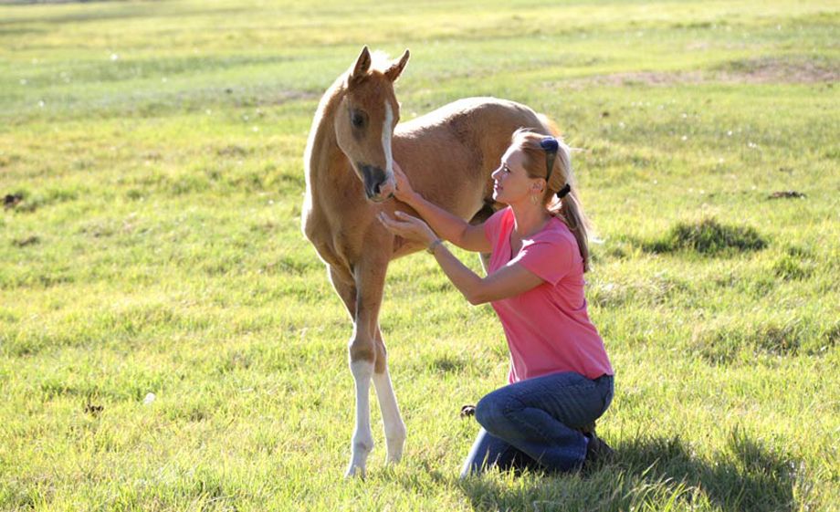 1Girl_affectionately_touches_a_colt_horse.jpg