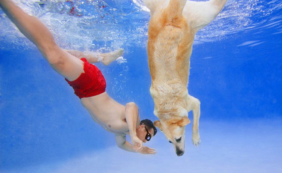 1Man_diving_with_his_dog_1.jpg