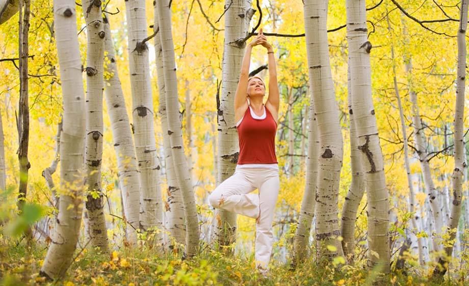 1Woman_doing_yoga_amongst_Fall_Aspen_trees