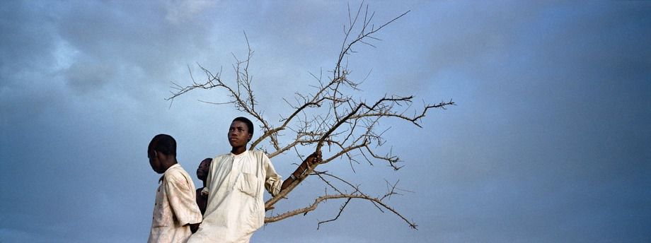 Displaced boys in Darfur