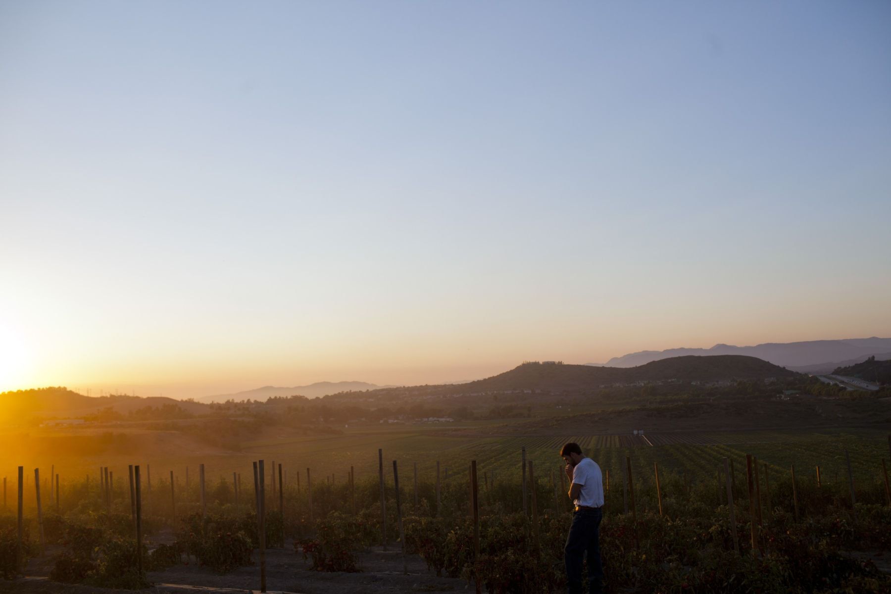 Veterans Affair Campaign