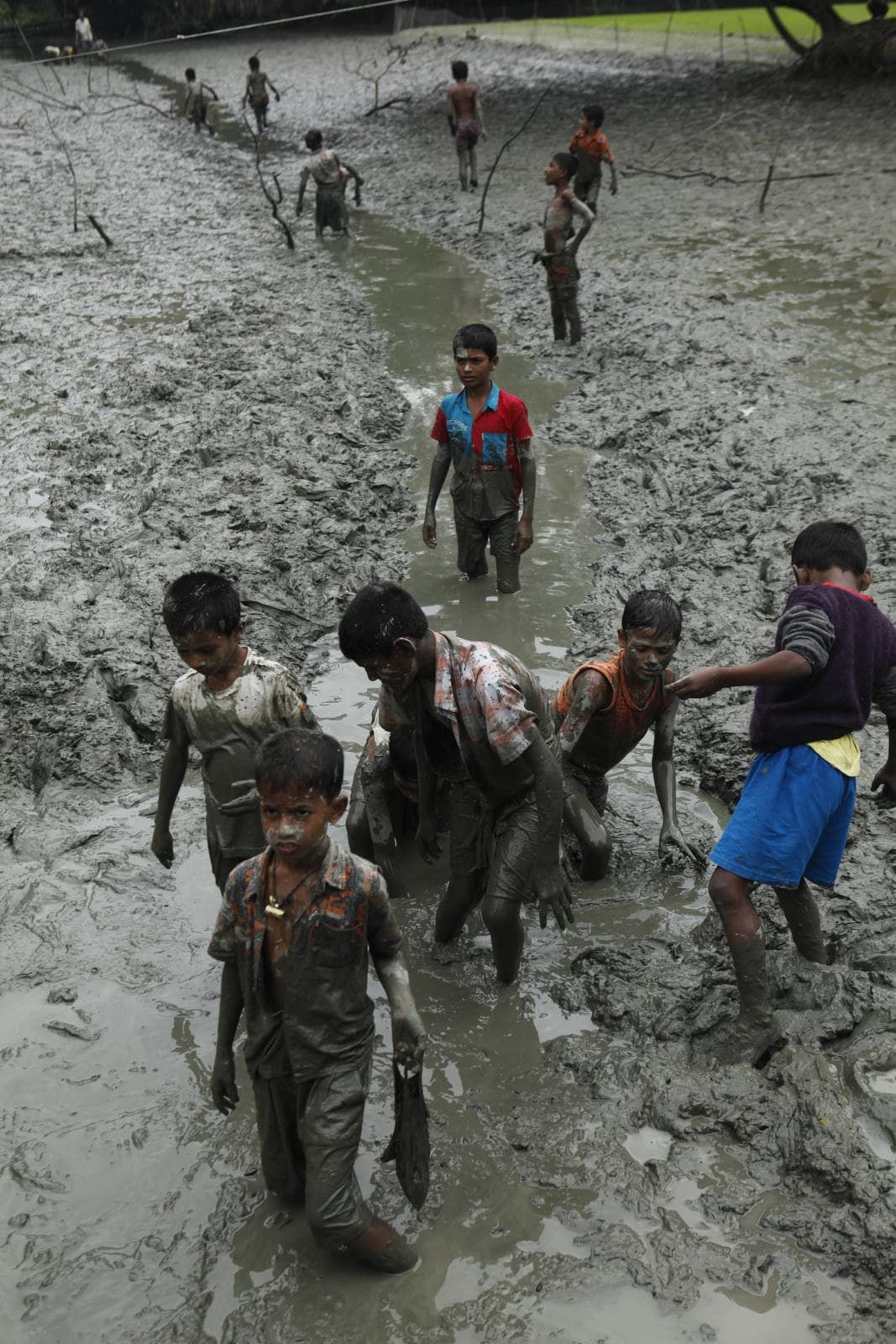 Children look for fish in the mud residue of a pond. The fish will make up meals for many of the children's families.