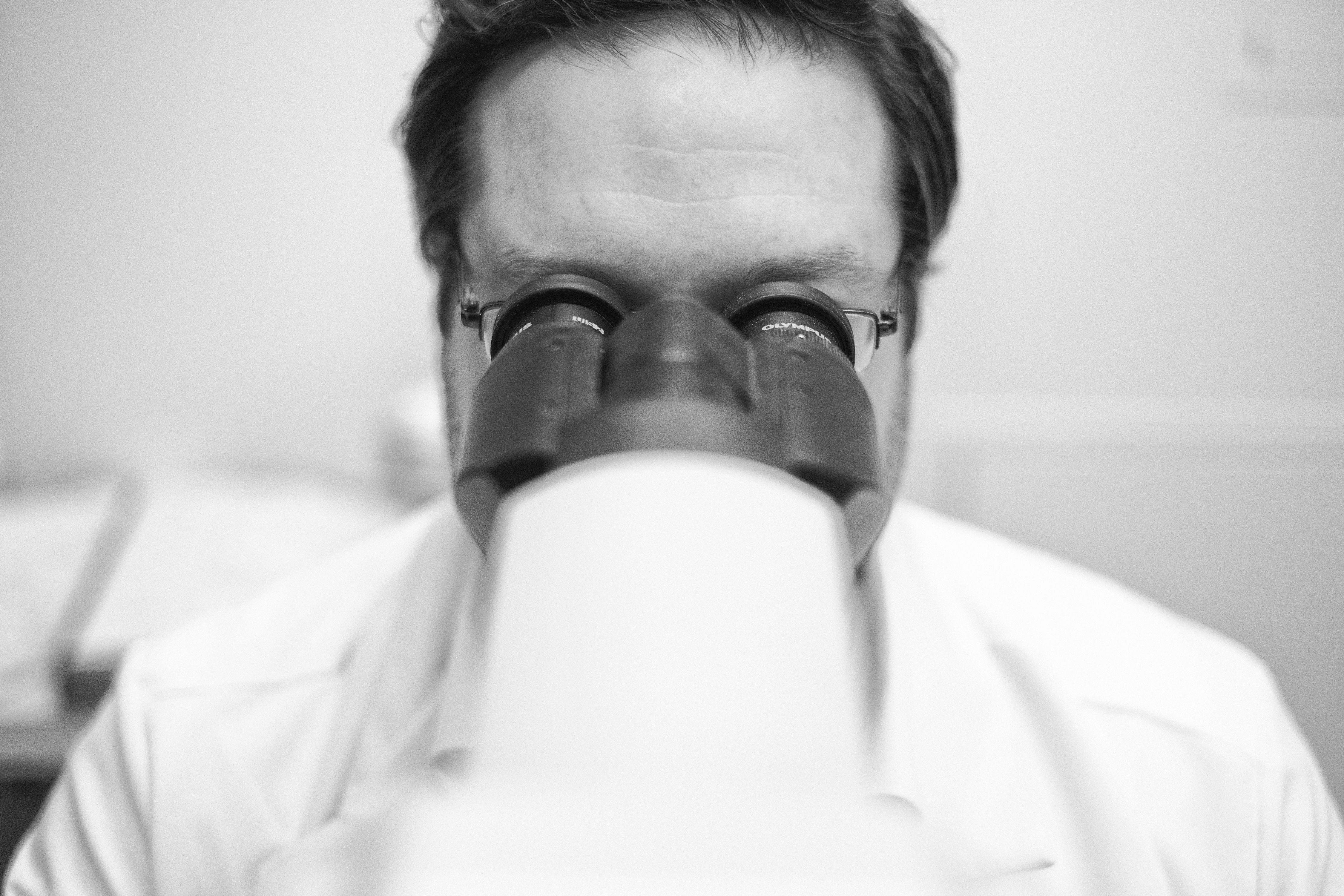 Sunnybrook- Looking for cures