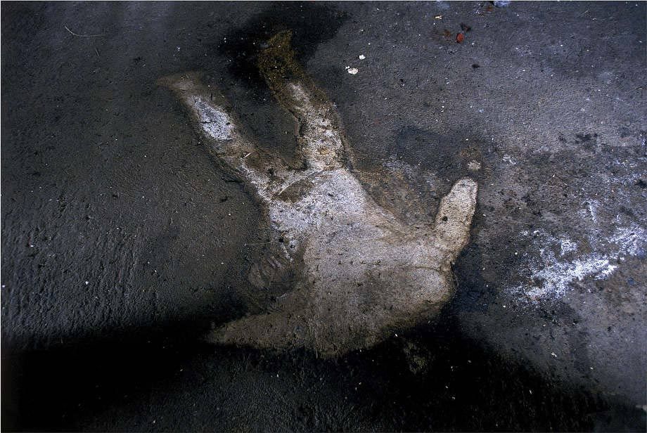 Blood and Honey: A Balkan War Journal