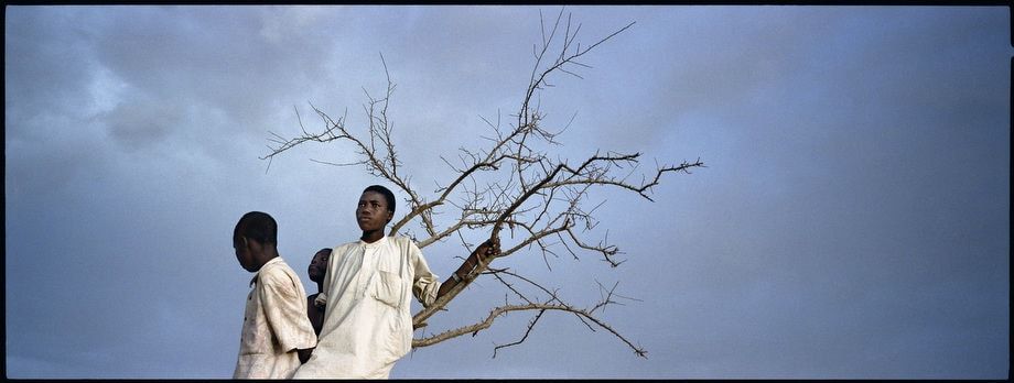 Children of Darfur