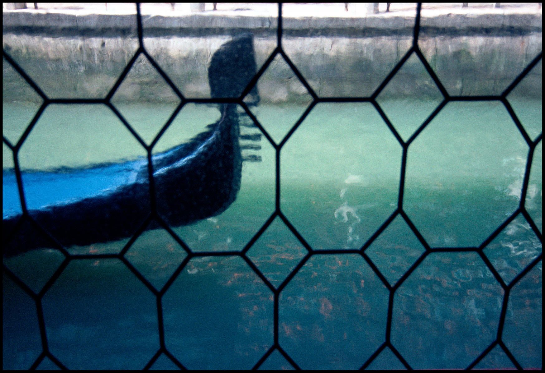 Gondola through a window diptych, Venice, 2000