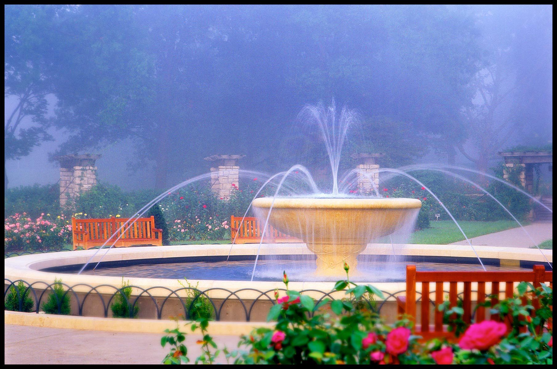 New Fountain, Rose Garden at Loose Park