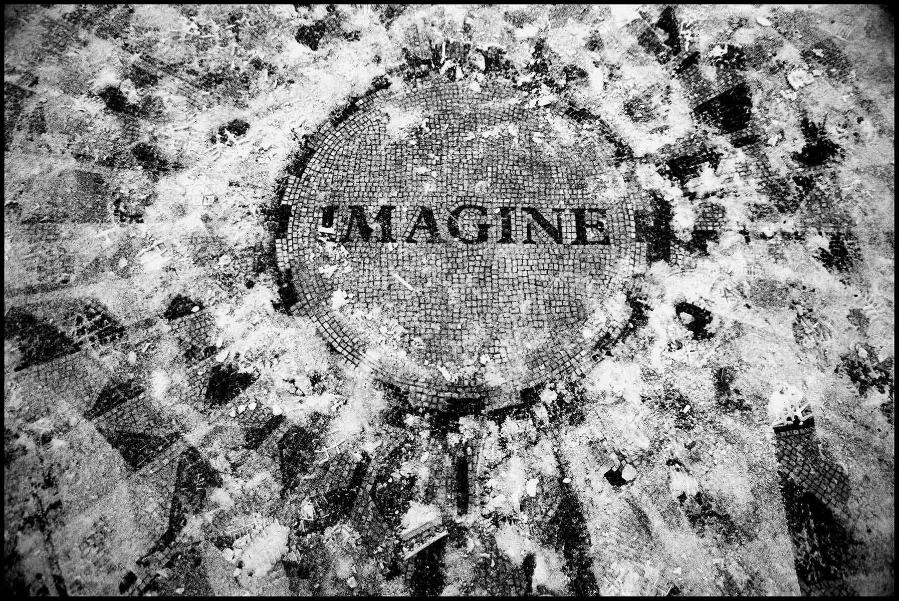 Strawberry Fields, 2003