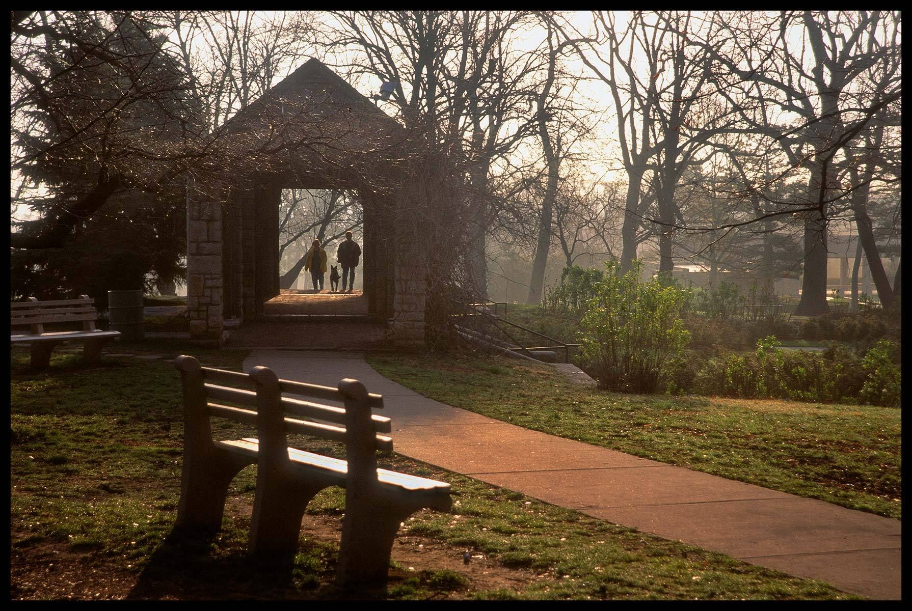Dog walkers at the Rose Gardent