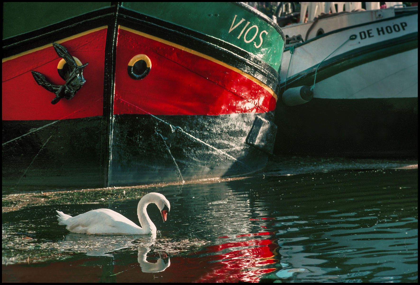 Assortment of images