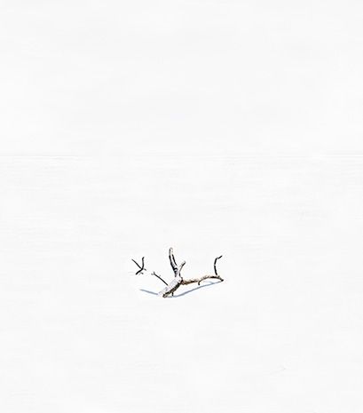 1_mg_2591branch_copy