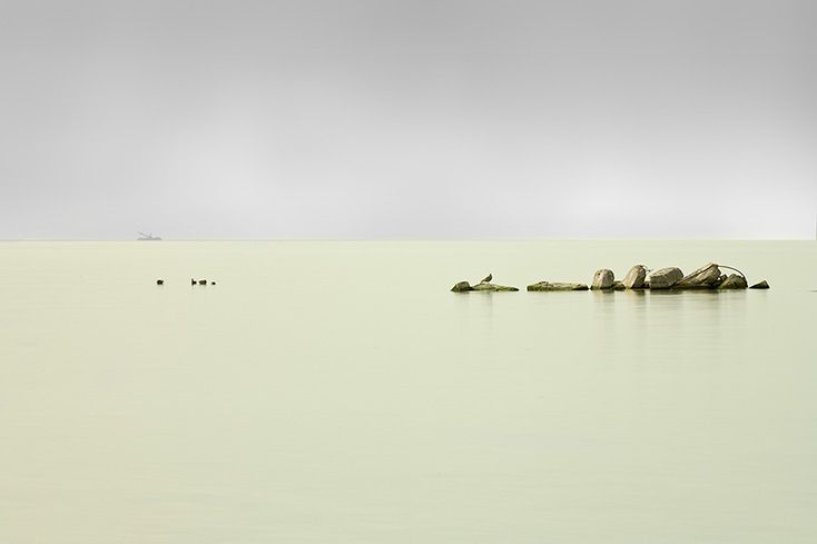 1_mg_5412_editgray_copy