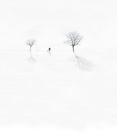 1_mg_2591dogab_copy__1__copy