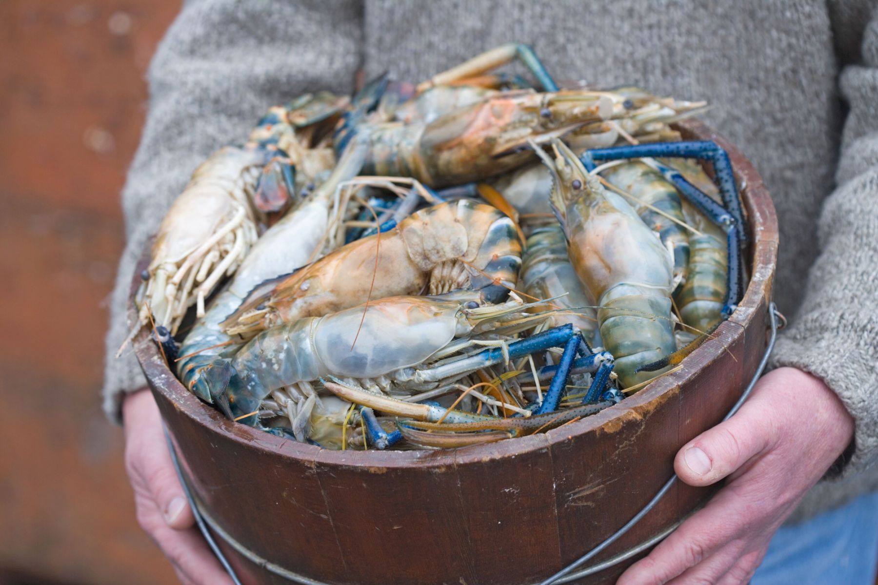 1xd8p2358_cr2_ross_durant_seafood