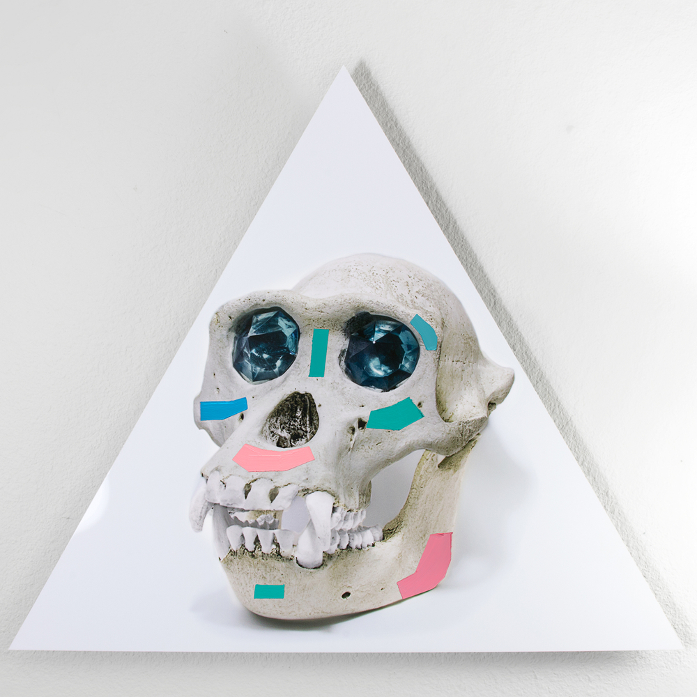 Ancient Gods Always Dream of Forever is a mixed media series created by mixed media photographer Victor Koroma. Ancient Gods Always Dream of Forever: Chimp Replica Skull