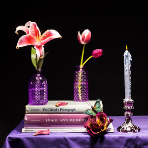 Image and Memory Flower Still Life — BLACK FLOWERS | Fine Art Still Life Photography | Victor Koroma