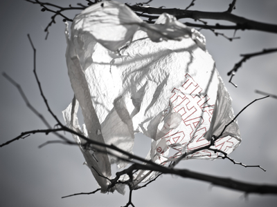 Thank You Bag — Fine Art Photography | Victor Koroma