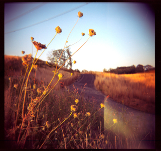 Holga Landscape — Fine Art Photography | Victor Koroma