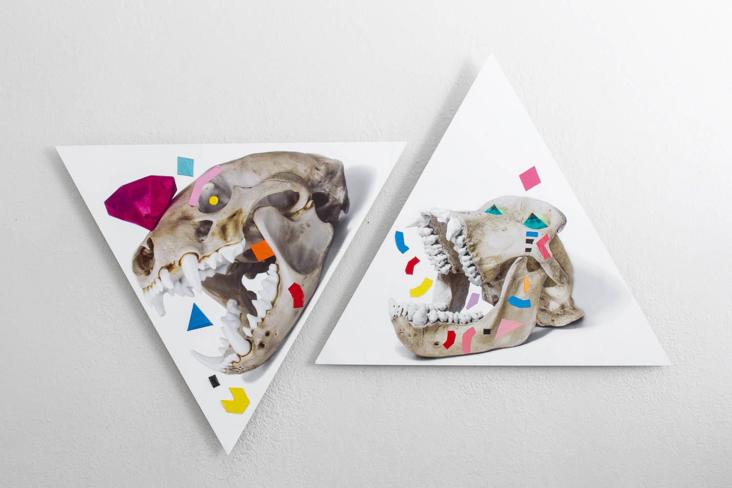 Ancient Gods Always Dream of Forever is a mixed media series created by mixed media photographer Victor Koroma. Ancient Gods Always Dream of Forever: Badger and Gorilla Skull