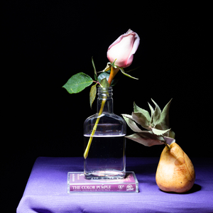 The Color Purple Flower Still Life — BLACK FLOWERS | Fine Art Still Life Photography | Victor Koroma