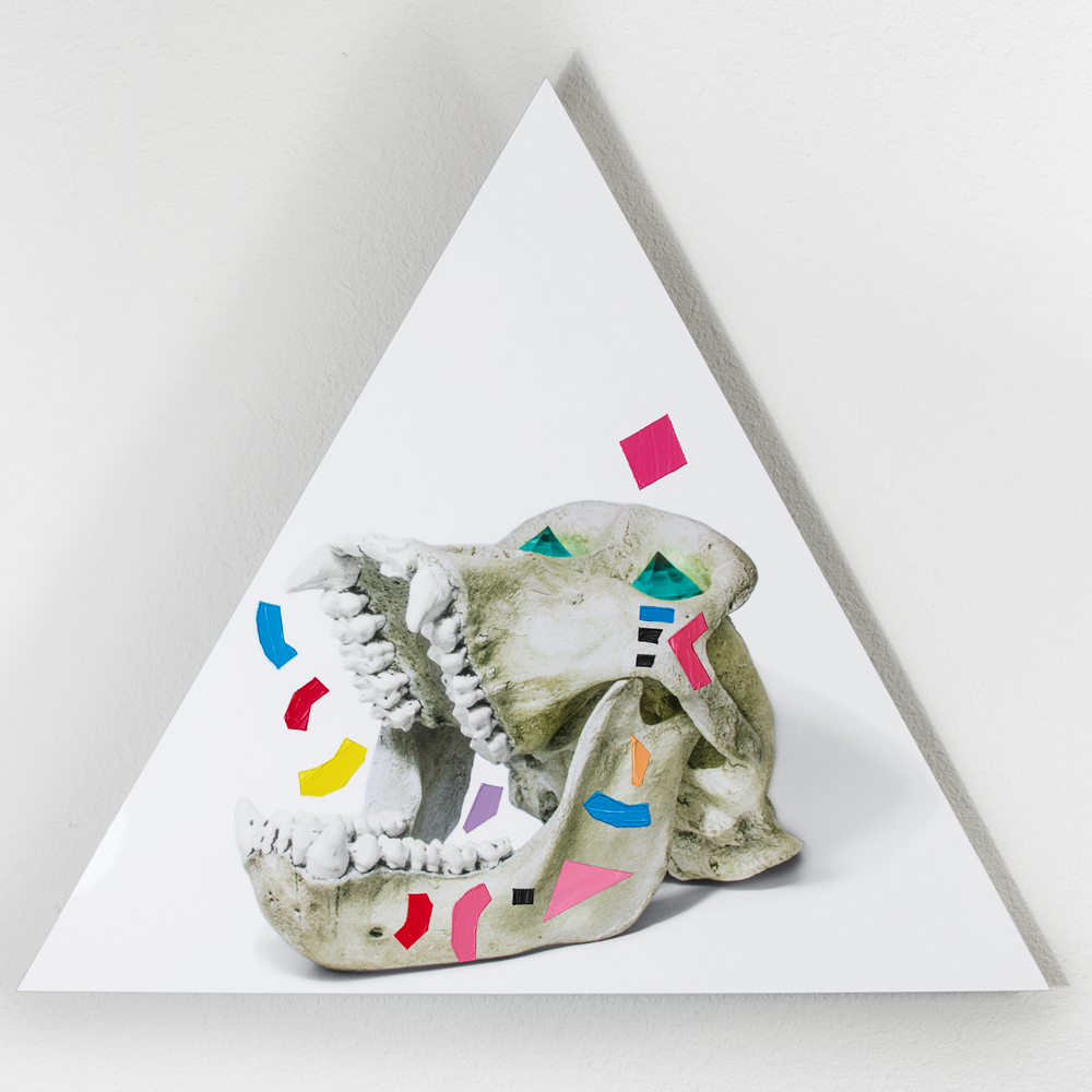 Ancient Gods Always Dream of Forever is a mixed media series created by mixed media photographer Victor Koroma. Ancient Gods Always Dream of Forever: Lowland Gorilla Replica Skull