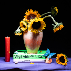 Sunflowers for Virgil Abloh Flower Still Life — BLACK FLOWERS | Fine Art Still Life Photography | Victor Koroma