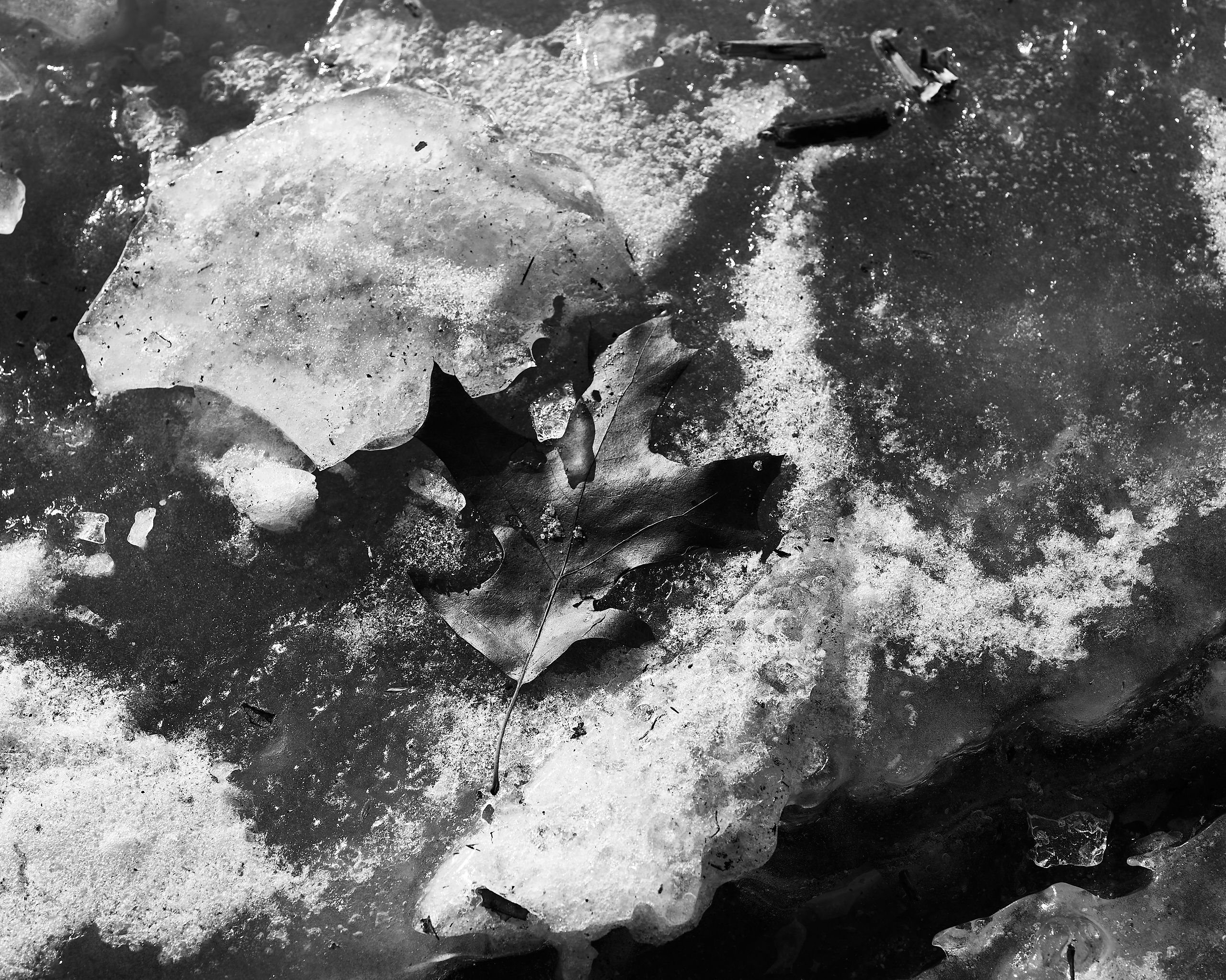 6076_0017.jpg